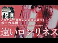 伊勢正三 遠いロンリネス アルバム「海がここに来るまで」 ボーカル無しバージョン
