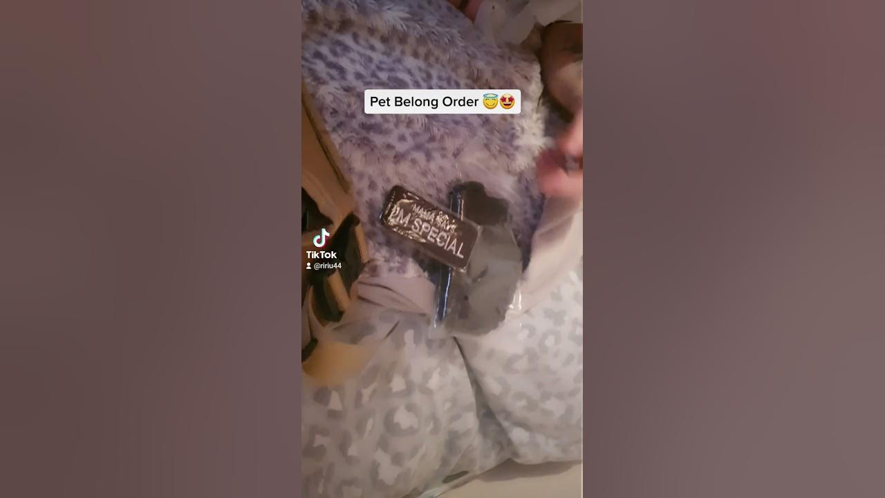 Roco Pet Belong Harness YouTube