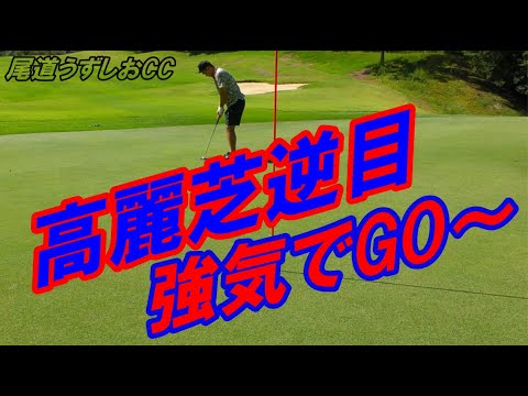 【ゴルフラウンド】高麗芝の落とし穴！尾道うずしおカントリークラブ！