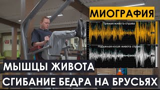 Тренировка пресса на брусьях. Миограф