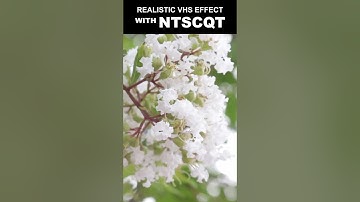 The Most Realistic VHS Effect [NTSCQT Demo]