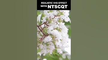 The Most Realistic VHS Effect [NTSCQT Demo]