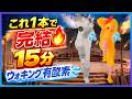 【🔥これ1本で完結🔥】15分ウォーキング有酸素💦ウォームアップ→脂肪燃焼→クールダウンまで