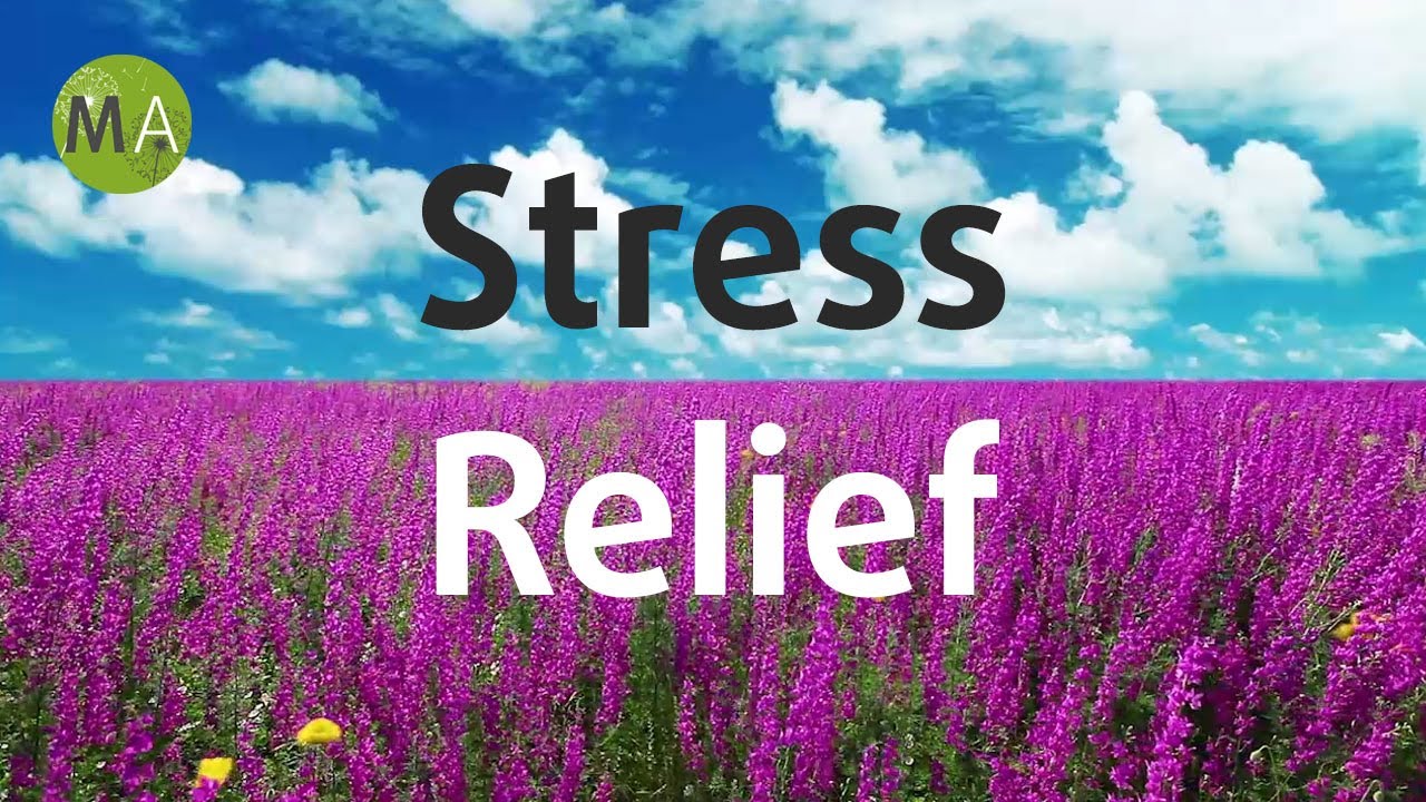 Calming Music for Stress Relief to De-Stress Quickly