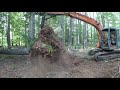 Cutting down saw mill trees