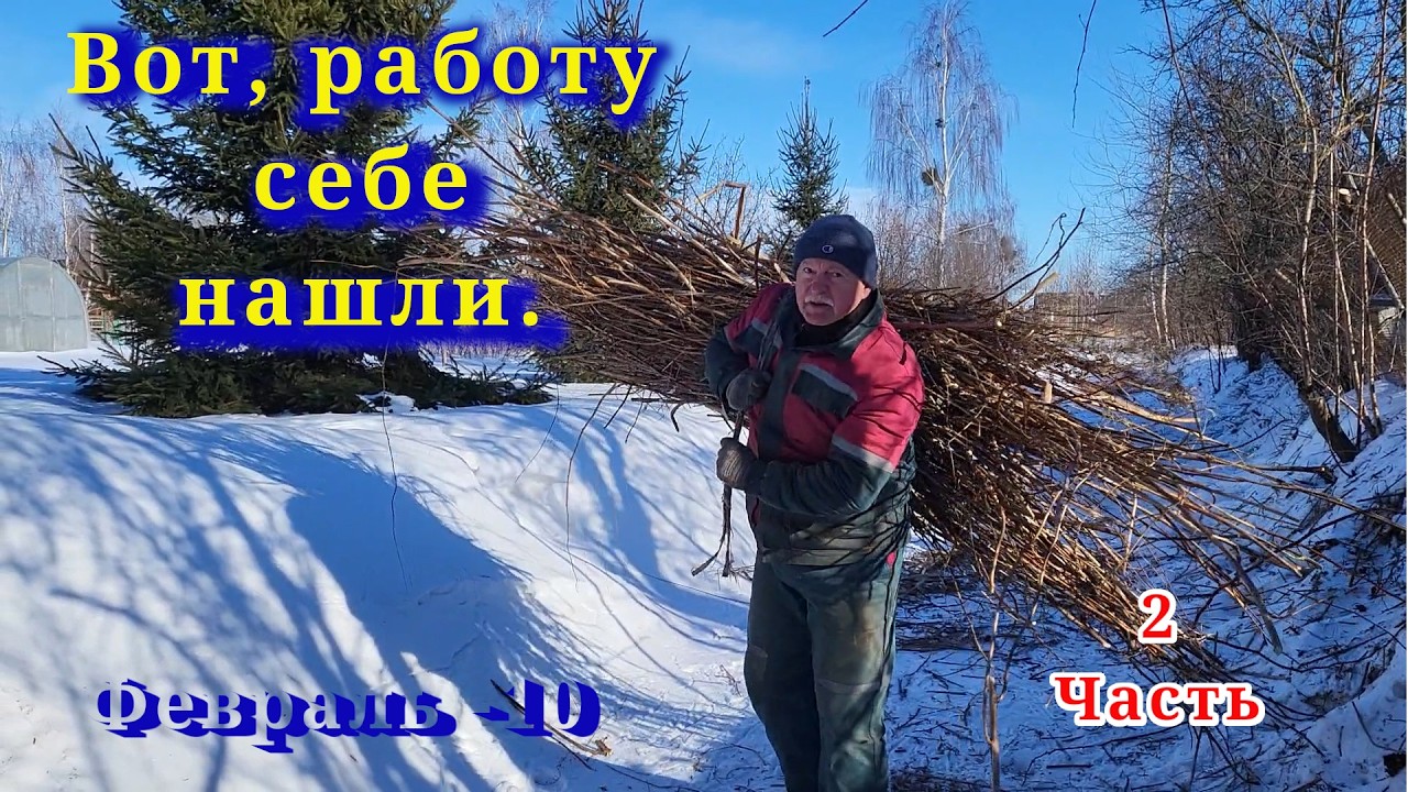 Второй день очищаем от зарослей берег нашего ручья, трудимся на даче в морозную погоду, Беларусь.