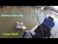 1 hour limit of creek crappie! Slip bobber kept going under! Slab after slab! January 2022