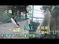 動物遇見初雪超興奮?! 反應超治癒! 剛好0度的北海道旭山動物園!