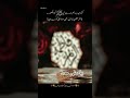 ya Allah Ham sabko madine or karbala ka ziyarat naseeb Karla #viral#foryou#tiktok#islam#india#skardu