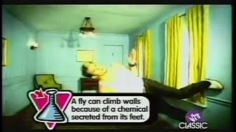 hqdefault.jpg?sqp=-oaymwEXCNACELwBSFryq4