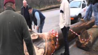 Speciale Festa del Maio Mugnano del Cardinale (Av)