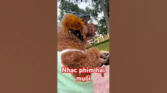 Nhạc film hai muối#haimuoi thumbnail