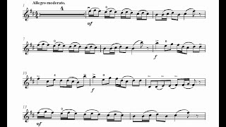 Oscar Rieding Violin Concerto in B minor op. 35  3. Allegro moderato  Orchestral Accompaniment