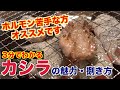 ホルモン嫌いも克服?!カシラの魅力と捌き方