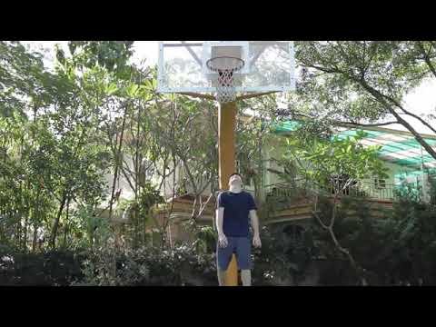 Video: Hvordan Stille Inn På Et Basketballspill