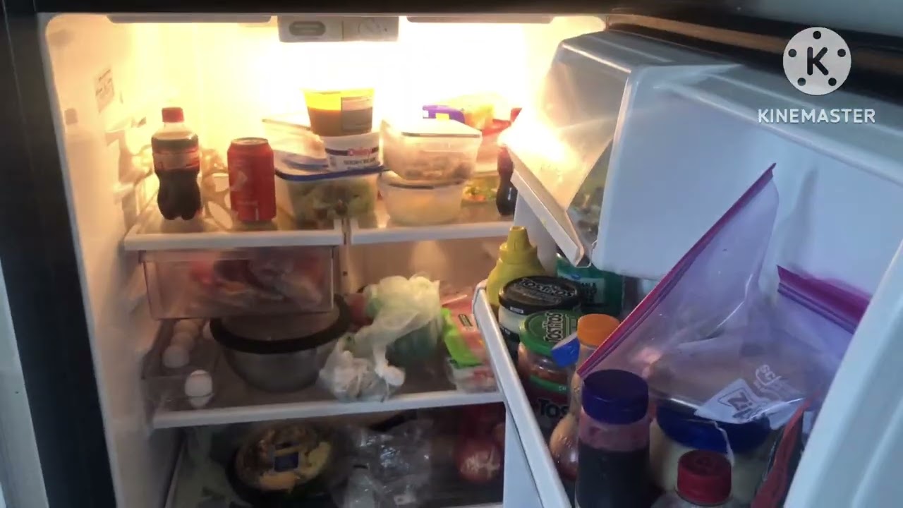 Living alone diaries/ clean my fridge with me 