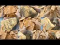 pure mud💛Vs red mud🧡| clay pot dry crumbling | Asmr satisfying earthy dirts🤤👌