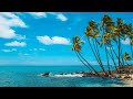 Caribbean beach jazz 247relaxing tropical music  bossa nova with ocean waves sounds for good mood