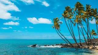 Caribbean Beach Jazz 24/7🌴Relaxing Tropical Music & Bossa Nova with Ocean Waves Sounds for Good Mood screenshot 5