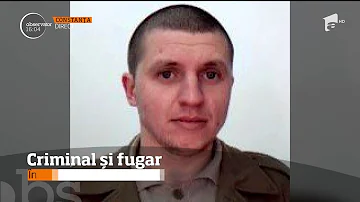 Un criminal, închis la penitenciarul Poarta Albă din Constanţa, a evadat