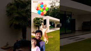 Meletus Balon Hijau Dor