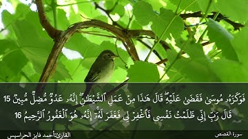 الصفحة 387 سورة القصص بصوت القارئ المهندس أحمد فايز الحراسيس