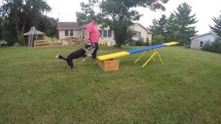 Lucy Teeter Stays Training  2