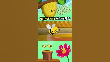 मधुमक्खी शहद कैसे बनाती है? | How Do Bees Make Honey In Hindi | Part 2 #shorts #honey
