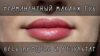 Татуаж Губ Заживление По Дням Фото