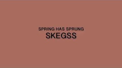 SKEGSS - spring has sprung LYRICS