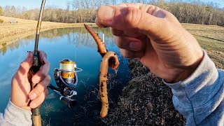 Fishing with Worms for Anything That Bites