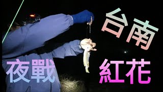 【胖咪】fishing 68:第一次嚐試釣夜釣紅花魚春子帕頭!! 