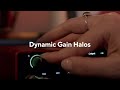 Introducing Dynamic Gain Halos - Scarlett 4th Gen