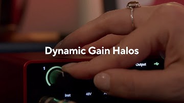Introducing Dynamic Gain Halos - Scarlett 4th Gen