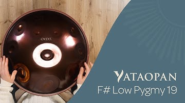 YataoPan | F# Low Pygmy 19