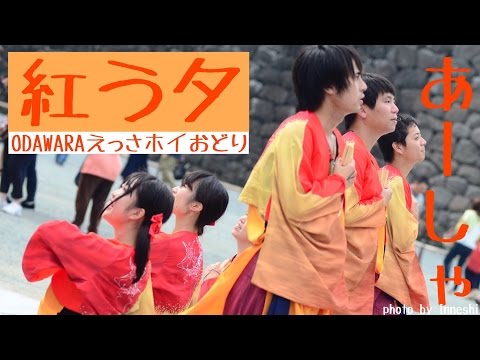 【あーしゃ】紅う夕_ODAWARAえっさホイおどり_城前ステージ【2016年】