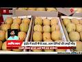 इंदौर में सजी Mango Jatra, आम प्रेमियों की उमड़ी भीड़