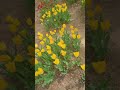 등산  다이어트 꽃구경 피톤치향 산림욕 노래 오르막길 듣고올라갑니다   레츠고^^
