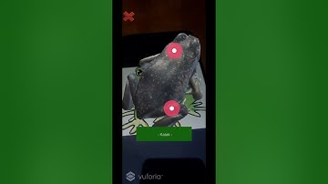 Demo Aplikasi AR Pengenalan Hewan