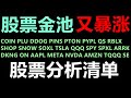 【美股分析】COIN PLUG DDOG PINS PTON QS RBLX SHOP SOXL TSLA QQQ SPY ARKK DKNG ON AAPL META NVDA AMZN SE