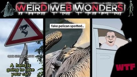 weird web wonders vol 62