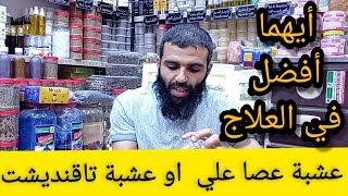 أيهما أفضل في العلاج/عشبة عصا علي أو عشبة تاقنديشت/مع الباحت حمودة سوق الأحد أكادير تعاونية الشفائين