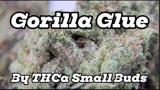 Gorilla Glue (GG4) - THCa Small Buds (TSB, Light Assist) - Strain Review & Macro Nug Shots