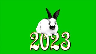кролик на цифрах 2023  футаж+маска