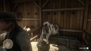 Normal RDR2 Ranching (RDR2)