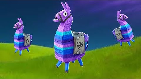 We Found 3 Llamas in One Game!