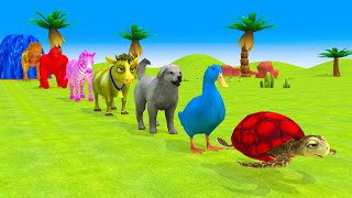 Paint & Animals Duck,Dog,Turtle,Gorilla,Tiger,Cow,Zebra Fountain Crossing Transformation Animals