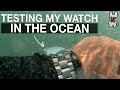 What I learned from TESTING my diver watch in the ocean