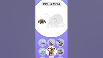 spider + tiger 🔥🔥||#shorts #youtubeshorts #Animash