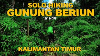 Solo Hiking : Gunung Beriun Kalimantan Timur - The Tropical Rainforests of Borneo